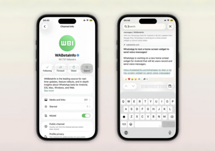 WhatsApp Channel Search