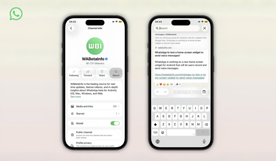 WhatsApp Channel Search
