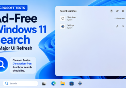 Windows 11 search update